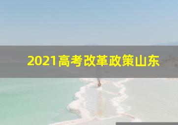 2021高考改革政策山东