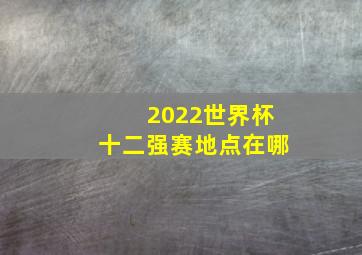 2022世界杯十二强赛地点在哪