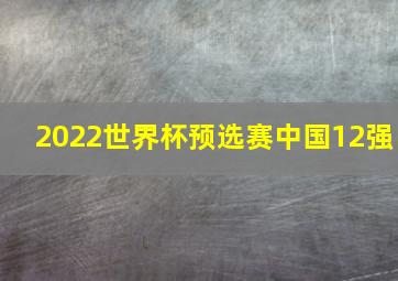 2022世界杯预选赛中国12强