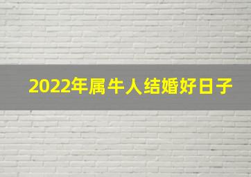 2022年属牛人结婚好日子