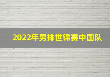 2022年男排世锦赛中国队