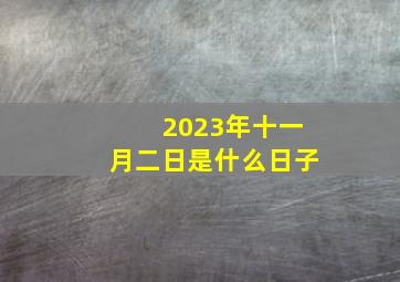 2023年十一月二日是什么日子