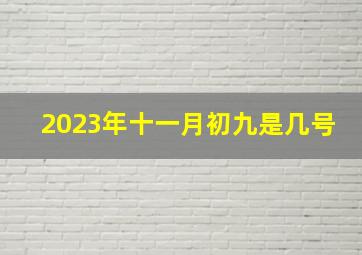 2023年十一月初九是几号