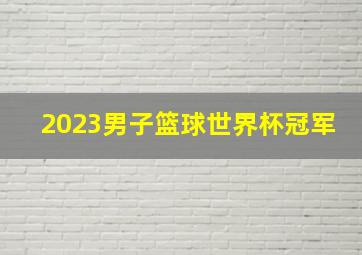 2023男子篮球世界杯冠军