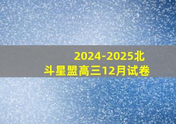 2024-2025北斗星盟高三12月试卷