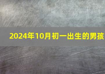 2024年10月初一出生的男孩