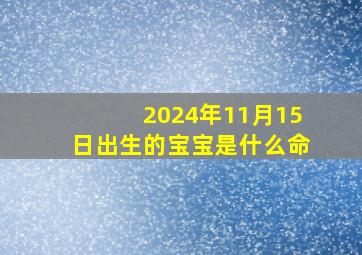 2024年11月15日出生的宝宝是什么命