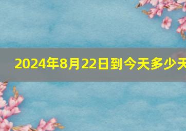 2024年8月22日到今天多少天