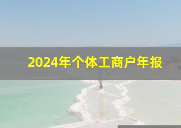 2024年个体工商户年报