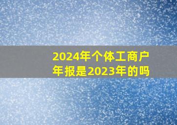 2024年个体工商户年报是2023年的吗