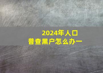 2024年人口普查黑户怎么办一