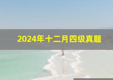 2024年十二月四级真题