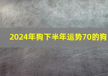 2024年狗下半年运势70的狗