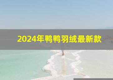 2024年鸭鸭羽绒最新款