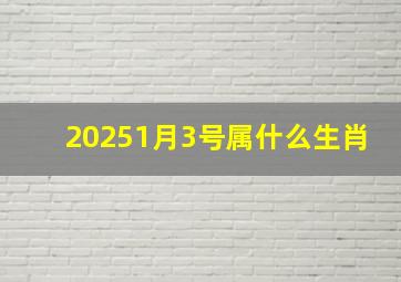 20251月3号属什么生肖