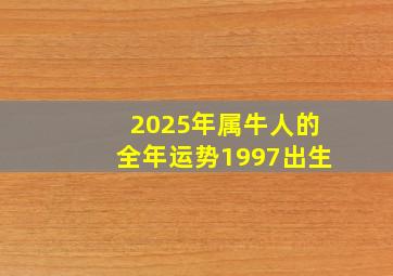 2025年属牛人的全年运势1997出生