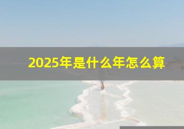 2025年是什么年怎么算