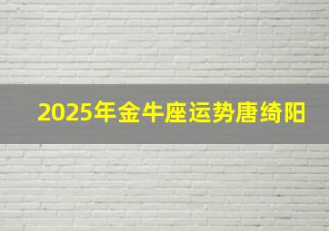 2025年金牛座运势唐绮阳