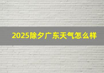 2025除夕广东天气怎么样