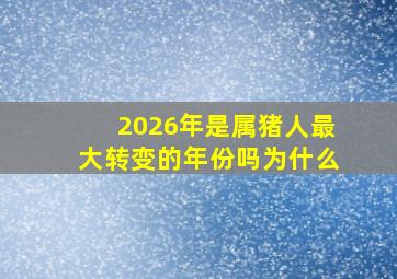 2026年是属猪人最大转变的年份吗为什么