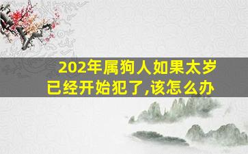 202年属狗人如果太岁已经开始犯了,该怎么办