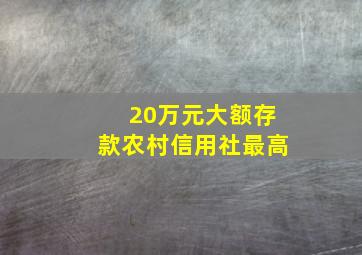 20万元大额存款农村信用社最高