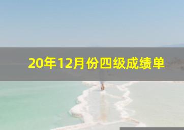 20年12月份四级成绩单