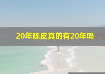 20年陈皮真的有20年吗