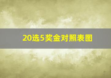 20选5奖金对照表图