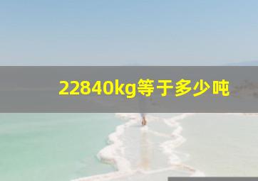 22840kg等于多少吨