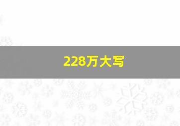 228万大写