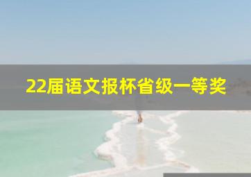 22届语文报杯省级一等奖