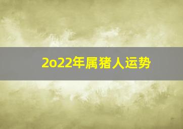 2o22年属猪人运势