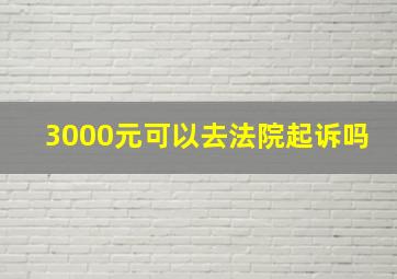 3000元可以去法院起诉吗