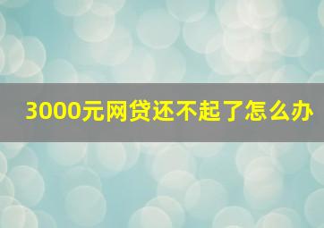 3000元网贷还不起了怎么办