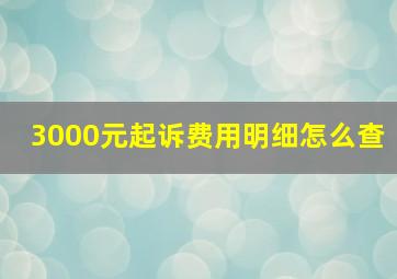 3000元起诉费用明细怎么查