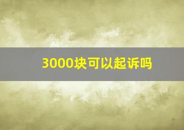 3000块可以起诉吗