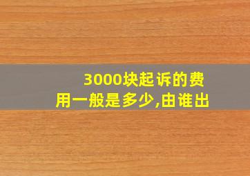 3000块起诉的费用一般是多少,由谁出