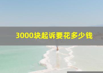 3000块起诉要花多少钱