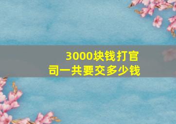 3000块钱打官司一共要交多少钱