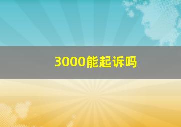 3000能起诉吗