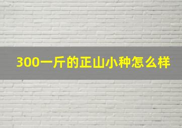 300一斤的正山小种怎么样