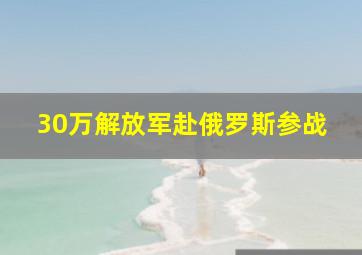 30万解放军赴俄罗斯参战