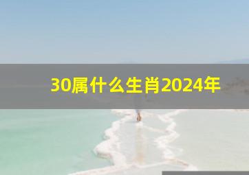 30属什么生肖2024年