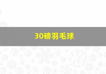 30磅羽毛球