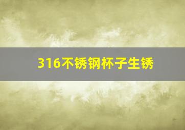 316不锈钢杯子生锈