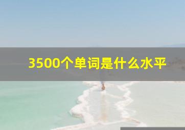 3500个单词是什么水平