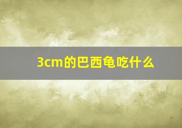 3cm的巴西龟吃什么