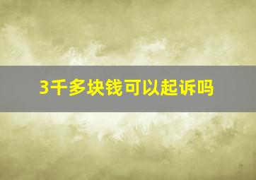 3千多块钱可以起诉吗