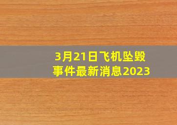 3月21日飞机坠毁事件最新消息2023